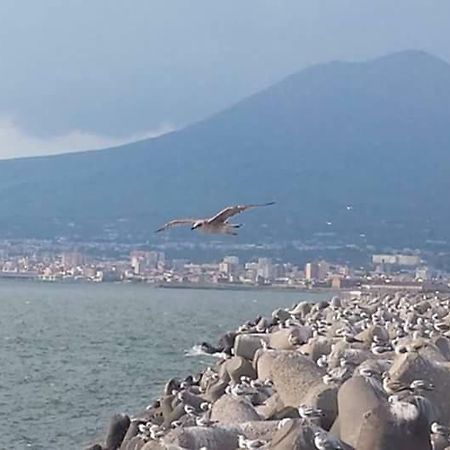 Casa Vacanza Nonna Antonietta Castellammare di Stabia Zewnętrze zdjęcie
