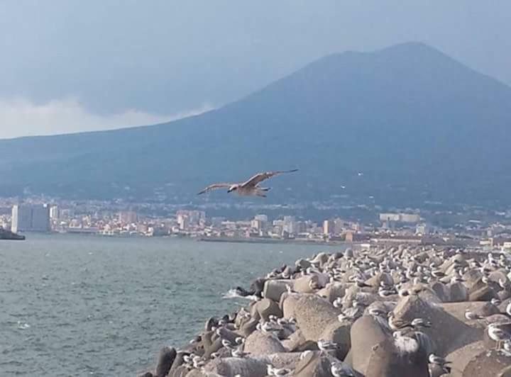 Casa Vacanza Nonna Antonietta Castellammare di Stabia Zewnętrze zdjęcie